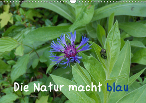 Die Natur macht blau (Wandkalender 2019 DIN A3 quer) von Sokoll,  Stephanie