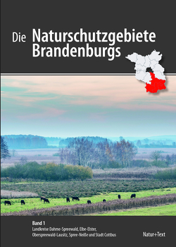 Die Naturschutzgebiete Brandenburgs von Donat, Kalbe,  Lothar, Schoknecht,  Thomas, Wiegank,  Friedrich-Manfred, Zimmermann,  Frank