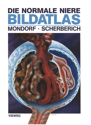 Die normale Niere Bildatlas von Mondorf,  A. Werner