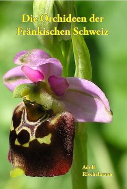 Die Orchideen der Fränkischen Schweiz von Riechelmann,  Adolf