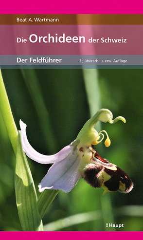 Die Orchideen der Schweiz von Wartmann,  Beat A.