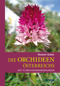 Die Orchideen Österreichs von Griebl,  Norbert
