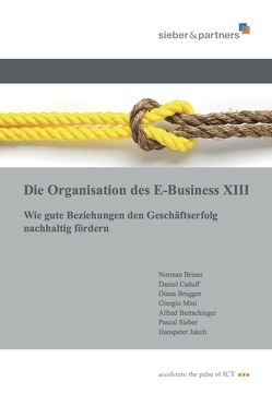 Die Organisation des E-Business XIII von Briner,  Norman, Brugger,  Diana, Sieber,  Pascal