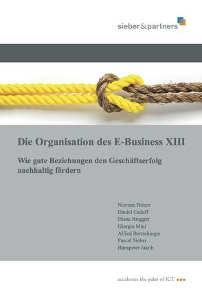 Die Organisation des E-Business XIII von Briner,  Norman, Brugger,  Diana, Sieber,  Pascal