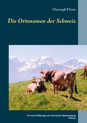 Die Ortsnamen der Schweiz von Pfister,  Christoph