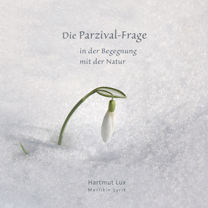 Die Parzival-Frage von Lux,  Hartmut