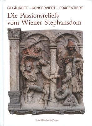 Die Passionsreliefs vom Wiener Stephansdom von Husslein-Arco,  Agnes, Kohn,  Renate, Linke,  Robert, Nimmrichter,  Johann, Pirker-Aurenhammer,  Veronika, Plieger,  Cornelia, Rohatsch,  Andreas, Santner,  Markus, Zehetner,  Wolfgang, Zowa,  Gertrud