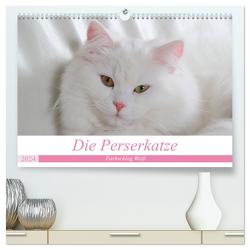 Die Perserkatze – Farbschlag Weiß (hochwertiger Premium Wandkalender 2024 DIN A2 quer), Kunstdruck in Hochglanz von Klatt,  Arno