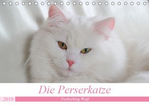 Die Perserkatze – Farbschlag Weiß (Tischkalender 2019 DIN A5 quer) von Klatt,  Arno