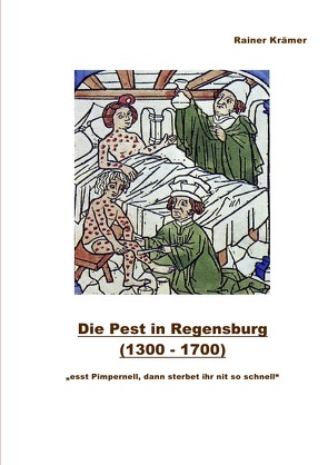 Die Pest in Regensburg (1300 – 1700) von Krämer,  Rainer