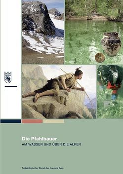 Die Pfahlbauer von Baeriswyl,  Armand, Erziehungsdirektion des Kantons Bern,  Archälogischer Dienst des Kantons Bern, Felber,  Christine, Fischer,  Jürgen, Grünig,  Martin, Gutscher,  Daniel, Hafner,  Albert, Klügel,  Johannna, Suter,  Peter J.