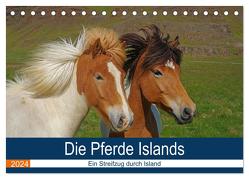 Die Pferde Islands – Ein Streifzug durch Island (Tischkalender 2024 DIN A5 quer), CALVENDO Monatskalender von Pantke,  Reinhard