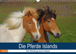 Die Pferde Islands – Ein Streifzug durch Island (Wandkalender 2023 DIN A3 quer) von Pantke,  Reinhard