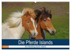 Die Pferde Islands – Ein Streifzug durch Island (Wandkalender 2024 DIN A2 quer), CALVENDO Monatskalender von Pantke,  Reinhard