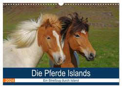 Die Pferde Islands – Ein Streifzug durch Island (Wandkalender 2024 DIN A3 quer), CALVENDO Monatskalender von Pantke,  Reinhard
