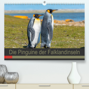 Die Pinguine der Falklandinseln (Premium, hochwertiger DIN A2 Wandkalender 2023, Kunstdruck in Hochglanz) von W. Saul,  Norbert