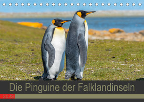 Die Pinguine der Falklandinseln (Tischkalender 2023 DIN A5 quer) von W. Saul,  Norbert