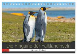 Die Pinguine der Falklandinseln (Tischkalender 2024 DIN A5 quer), CALVENDO Monatskalender von W. Saul,  Norbert