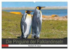 Die Pinguine der Falklandinseln (Wandkalender 2024 DIN A2 quer), CALVENDO Monatskalender von W. Saul,  Norbert