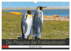 Die Pinguine der Falklandinseln (Wandkalender 2024 DIN A3 quer), CALVENDO Monatskalender von W. Saul,  Norbert