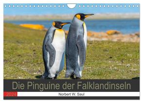 Die Pinguine der Falklandinseln (Wandkalender 2024 DIN A4 quer), CALVENDO Monatskalender von W. Saul,  Norbert