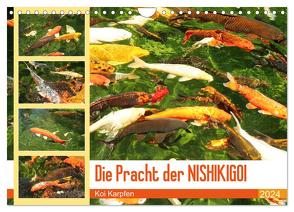 Die Pracht der NISHIKIGOI – Koi Karpfen (Wandkalender 2024 DIN A4 quer), CALVENDO Monatskalender von Lantzsch,  Katrin