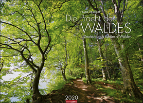 Die Pracht des Waldes Kalender 2020 von Krahmer,  Frank, Weingarten