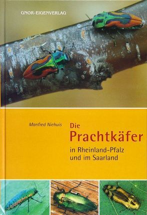 Die Prachtkäfer in Rheinland-Pfalz und im Saarland von Niehuis,  Manfred