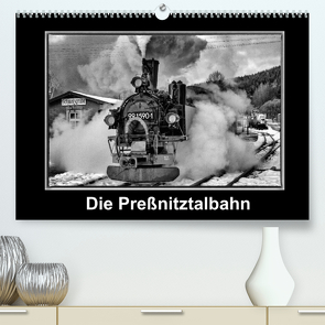 Die Preßnitztalbahn (Premium, hochwertiger DIN A2 Wandkalender 2022, Kunstdruck in Hochglanz) von Maurer,  Marion