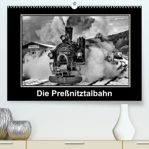 Die Preßnitztalbahn (Premium, hochwertiger DIN A2 Wandkalender 2023, Kunstdruck in Hochglanz) von Maurer,  Marion