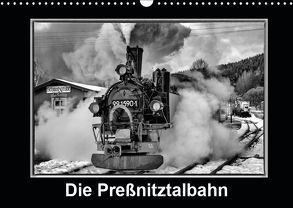 Die Preßnitztalbahn (Wandkalender 2019 DIN A3 quer) von Maurer,  Marion
