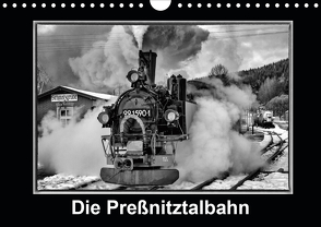 Die Preßnitztalbahn (Wandkalender 2021 DIN A4 quer) von Maurer,  Marion