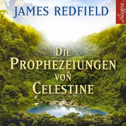 Die Prophezeiungen von Celestine von Flemming,  Henk, Redfield,  James