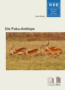 Die Puku-Antilope von Rduch,  Vera