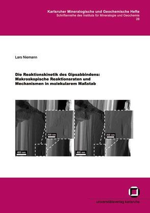 Die Reaktionskinetik des Gipsabbindens: Makroskopische Reaktionsraten und Mechanismen in molekularem Massstab von Niemann,  Lars