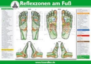 Die Reflexzonen der Füße von Marquardt,  Hanne