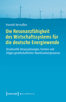Die Resonanzfähigkeit des Wirtschaftssystems für die deutsche Energiewende von Vermaßen,  Hannah