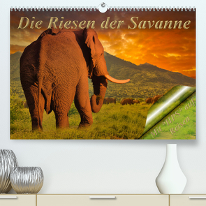 Die Riesen der Savanne (Premium, hochwertiger DIN A2 Wandkalender 2023, Kunstdruck in Hochglanz) von Schwerin,  Heinz-Peter