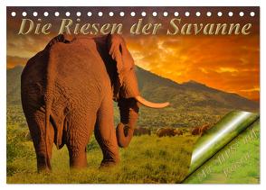 Die Riesen der Savanne (Tischkalender 2024 DIN A5 quer), CALVENDO Monatskalender von Schwerin,  Heinz-Peter