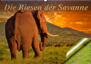 Die Riesen der Savanne (Wandkalender 2023 DIN A2 quer) von Schwerin,  Heinz-Peter