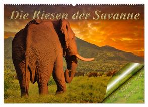 Die Riesen der Savanne (Wandkalender 2024 DIN A2 quer), CALVENDO Monatskalender von Schwerin,  Heinz-Peter