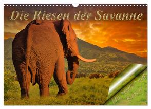 Die Riesen der Savanne (Wandkalender 2024 DIN A3 quer), CALVENDO Monatskalender von Schwerin,  Heinz-Peter
