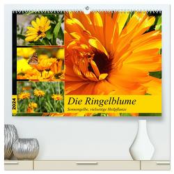 Die Ringelblume. Sonnengelbe, vielseitige Heilpflanze (hochwertiger Premium Wandkalender 2024 DIN A2 quer), Kunstdruck in Hochglanz von Hurley,  Rose