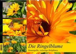 Die Ringelblume. Sonnengelbe, vielseitige Heilpflanze (Wandkalender 2023 DIN A2 quer) von Hurley,  Rose