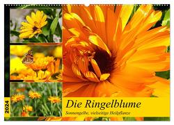 Die Ringelblume. Sonnengelbe, vielseitige Heilpflanze (Wandkalender 2024 DIN A2 quer), CALVENDO Monatskalender von Hurley,  Rose