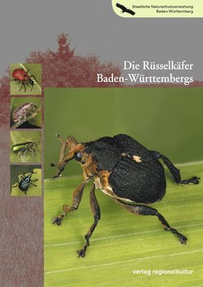 Die Rüsselkäfer Baden-Württembergs von Hassler,  Michael, Rheinheimer,  Joachim