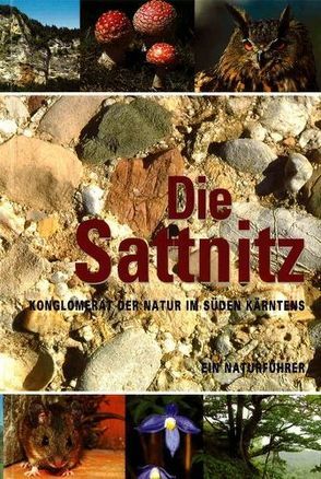 Die Sattnitz – Ein Naturführer von Sampl,  Hans, Schlamberger,  Jürgen, Seger,  Martin, Zwander,  Helmut