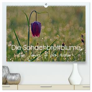 Die Schachbrettblume (hochwertiger Premium Wandkalender 2024 DIN A2 quer), Kunstdruck in Hochglanz von Klapp,  Lutz