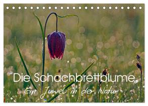 Die Schachbrettblume (Tischkalender 2024 DIN A5 quer), CALVENDO Monatskalender von Klapp,  Lutz
