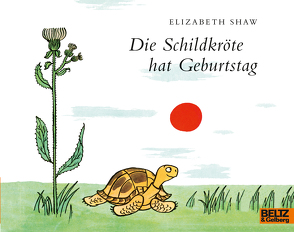 Die Schildkröte hat Geburtstag von Shaw,  Elizabeth